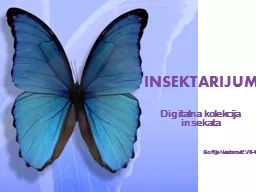 PPT-INSEKTARIJUM Digitalna kolekcija