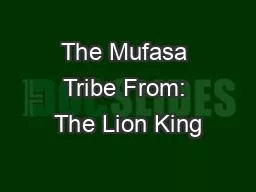 The Mufasa Tribe From: The Lion King