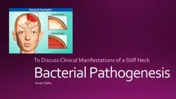 Bacterial Pathogenesis  To Discuss Clinical Manifestations of a Stiff Neck