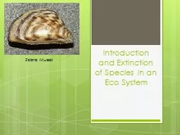 Introduction and Extinction of Species in an Eco System