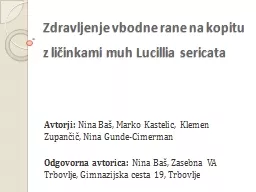 Zdravljenje vbodne rane na kopitu z ličinkami muh