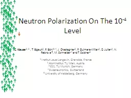 Neutron Polarization On The 10