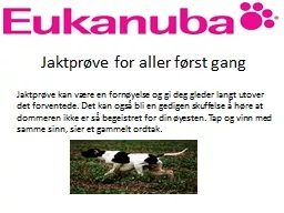 Jaktprøve for aller først