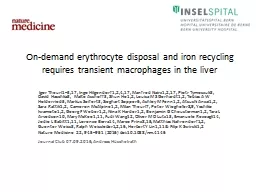 On-demand  erythrocyte disposal and iron recycling requires transient macrophages in the
