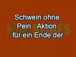 Schwein ohne Pein   Aktion für ein Ende der