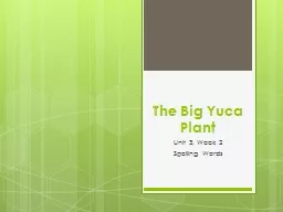 The Big  Yuca  Plant Unit 3, Week 2