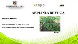 ABP LINEA DE YUCA  PRESENTADOS POR: