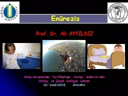 Enürezis Prof.   Dr. Ali AYYILDIZ