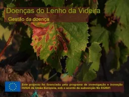 Doenças  do  Lenho  da