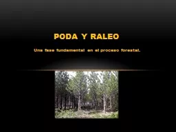 PPT-Una fase fundamental en el proceso forestal.