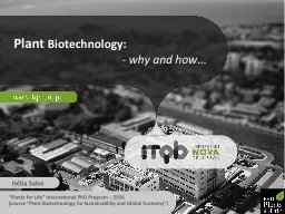 Plant Biotechnology in Africa