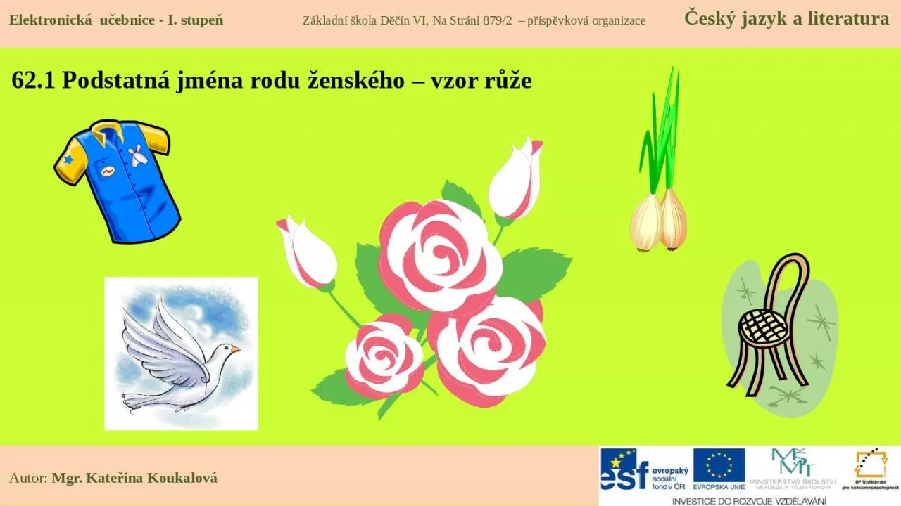 PPT-62.1 Podstatn jm na rodu ensk ho vzor r e