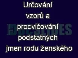 Určování vzorů a procvičování podstatných jmen rodu ženského