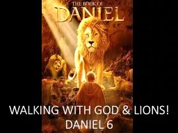 WALKING WITH GOD & LIONS!
