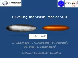 Unveiling the visible face of VLTI