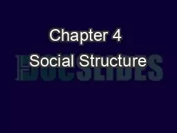 Chapter 4 Social Structure