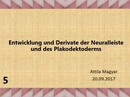 Entwicklung  und Derivate der