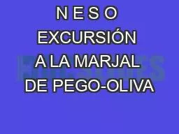 N E S O EXCURSIÓN A LA MARJAL DE PEGO-OLIVA