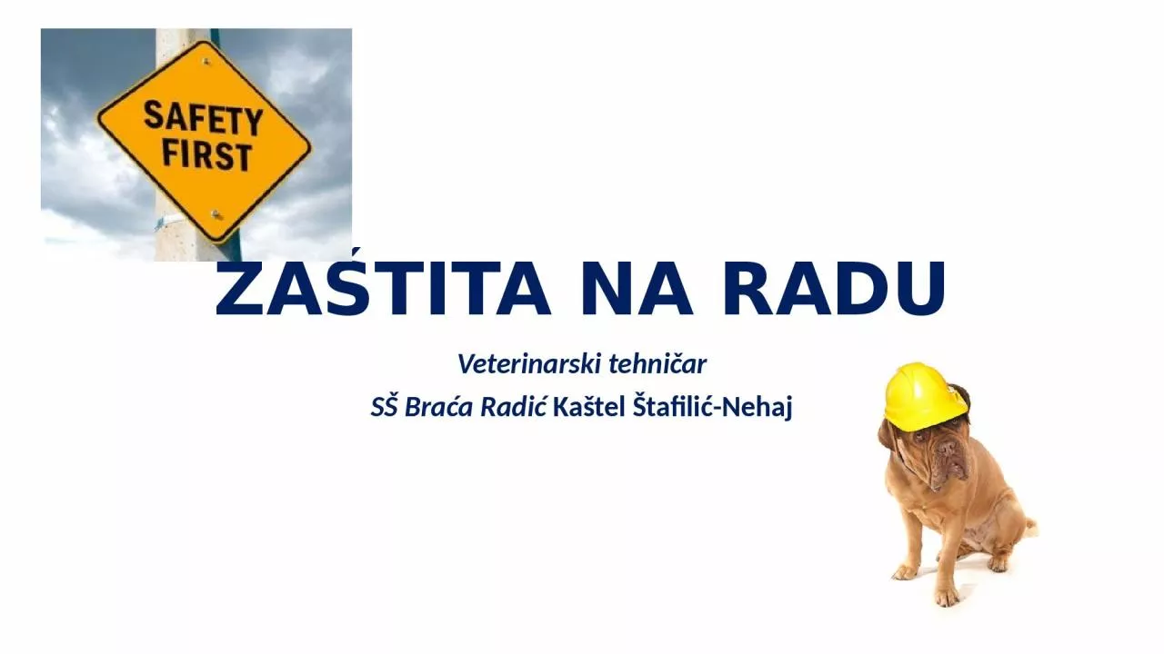 PPT-ZA TITA NA RADU