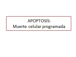 APOPTOSIS:  Muerte celular programada