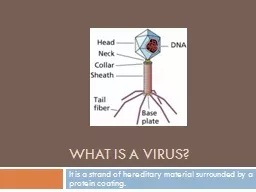 What is a virus? It is a strand of hereditary material surrounded by a protein coating.