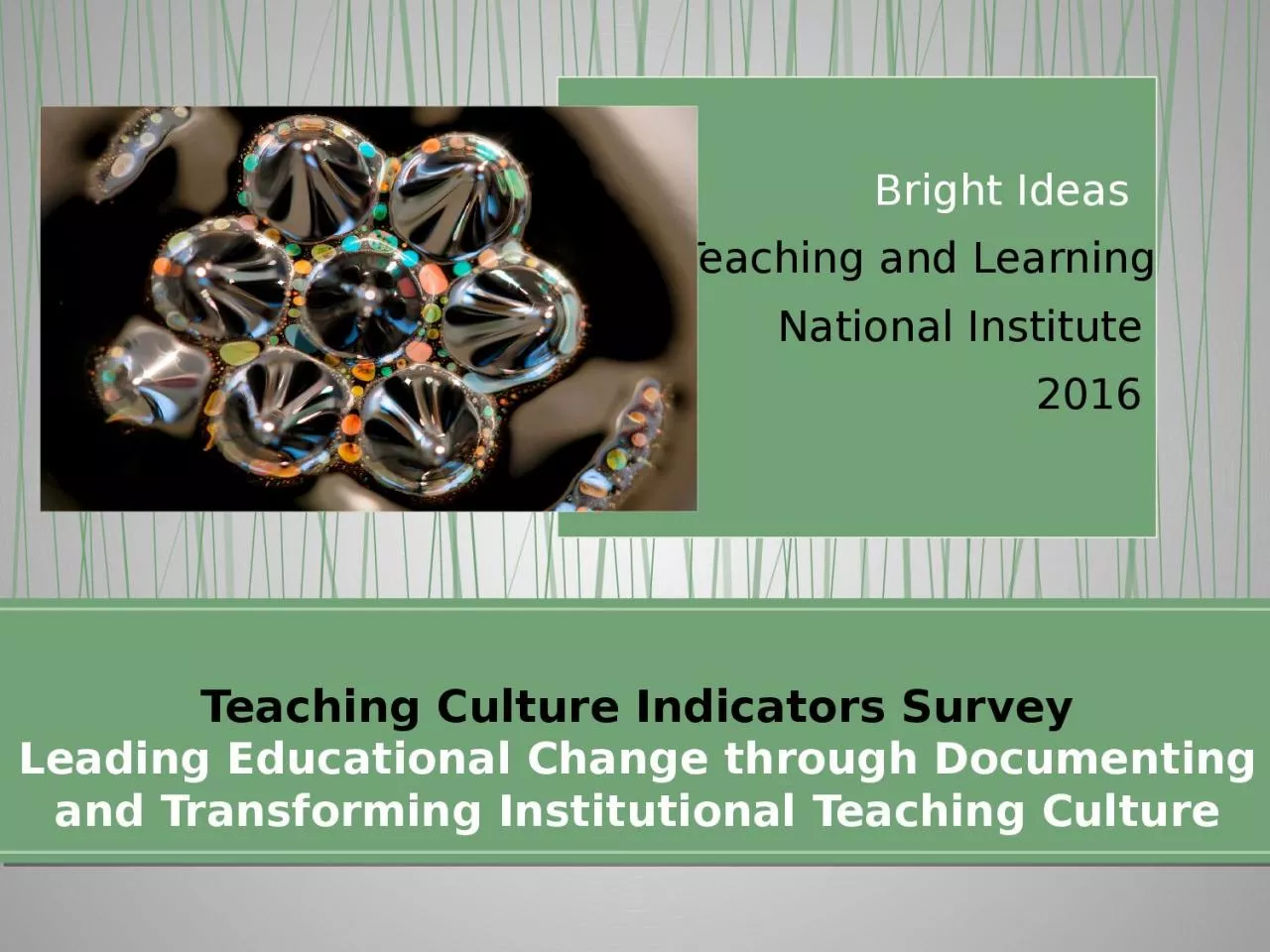 PPT-Teaching Culture Indicators Survey Leading Educational Change through Documenting and