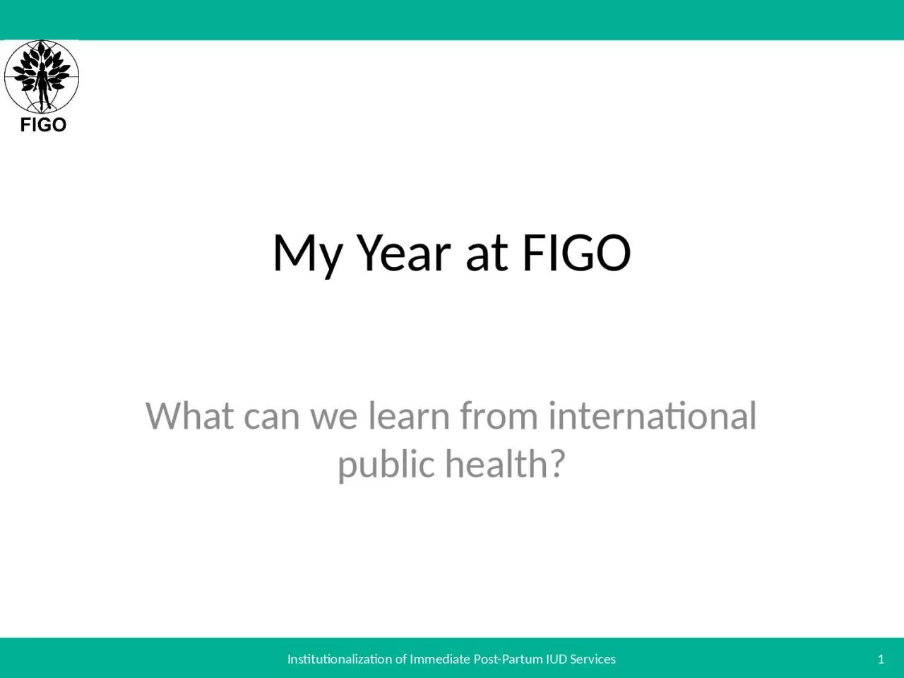 PPT-My Year at FIGO