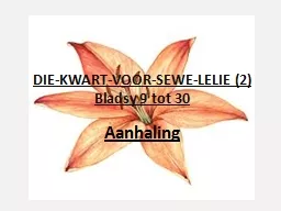 DIE-KWART-VOOR-SEWE-LELIE (2)