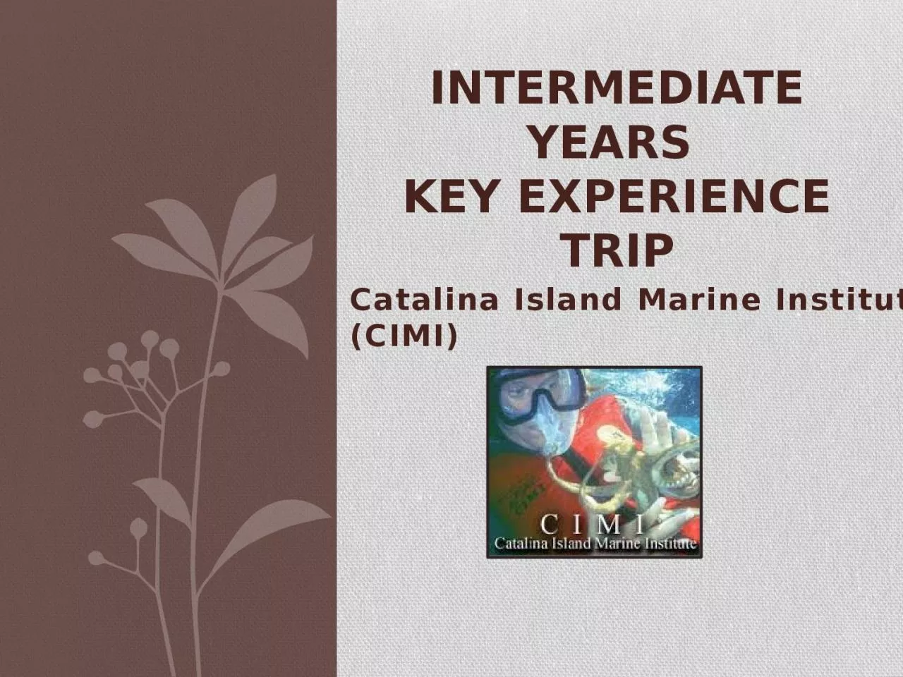 PPT-Intermediate Years Key Experience Trip