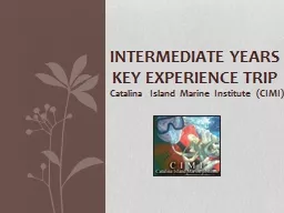 Catalina Island Marine Institute (CIMI)