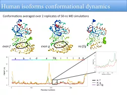 Human   i soforms   conformational