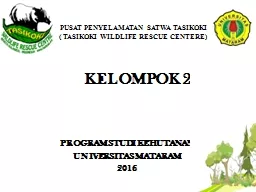 KELOMPOK 2 PROGRAM STUDI KEHUTANAN