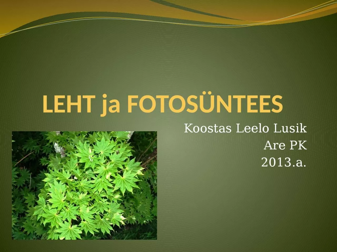 PPT-LEHT ja FOTOS NTEES