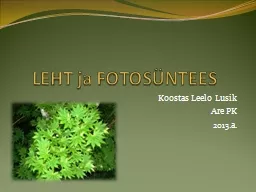 LEHT ja FOTOS NTEES