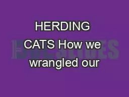 HERDING CATS How we wrangled our