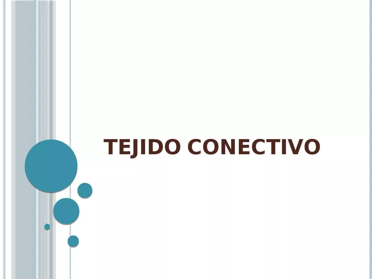 PPT-TEJIDO CONECTIVO