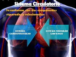 Sistema Circulatorio Se conforma con dos componentes separados y relacionados: