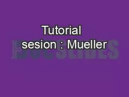 Tutorial  sesion : Mueller