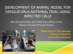 Development of Animal Model for Dengue Virus Antiviral Trial using Infected Cells