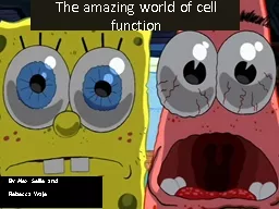 The amazing world of cell function