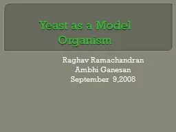 Yeast as a Model  Organism