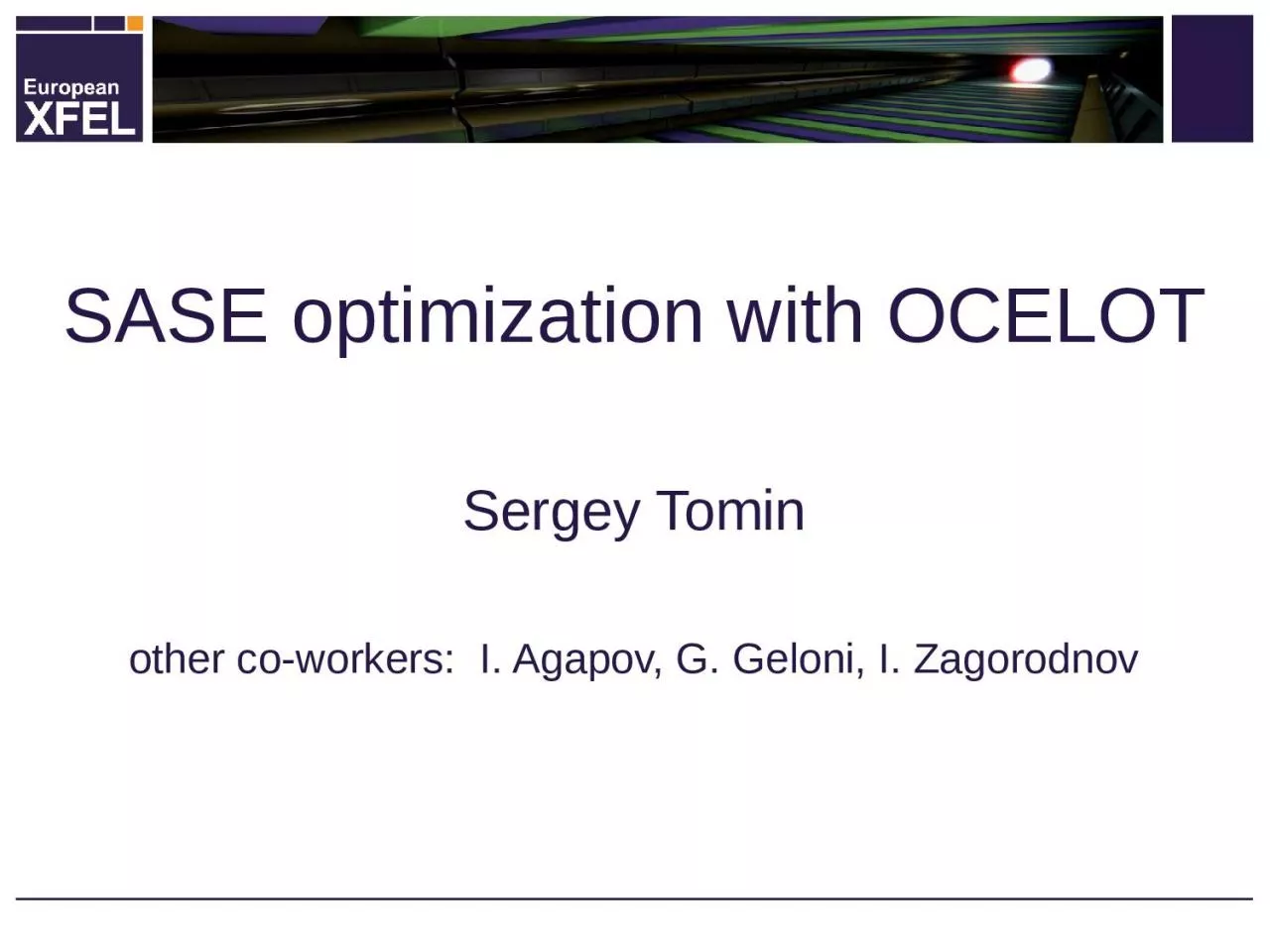 PPT-SASE optimization with OCELOT