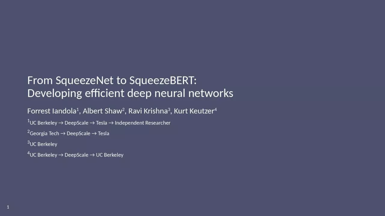 PPT-From SqueezeNet to SqueezeBERT: Developing efficient deep neural networks