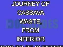 A  LONG JOURNEY OF CASSAVA WASTE, FROM INFERIOR FOOD TO BE SUPERIOR