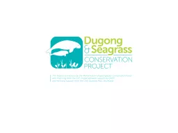 Dugong and seagrass research results   Project MY4