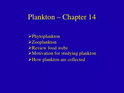 PPT-Plankton – Chapter 14 Phytoplankton