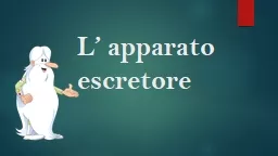 L’   apparato escretore