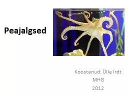 Peajalgsed Koostanud: Ülle