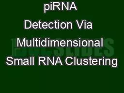 piRNA Detection Via  Multidimensional Small RNA Clustering