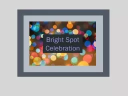 Bright Spot Celebration